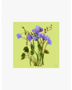 Cinzia Rocca Green Floral Silk Scarf