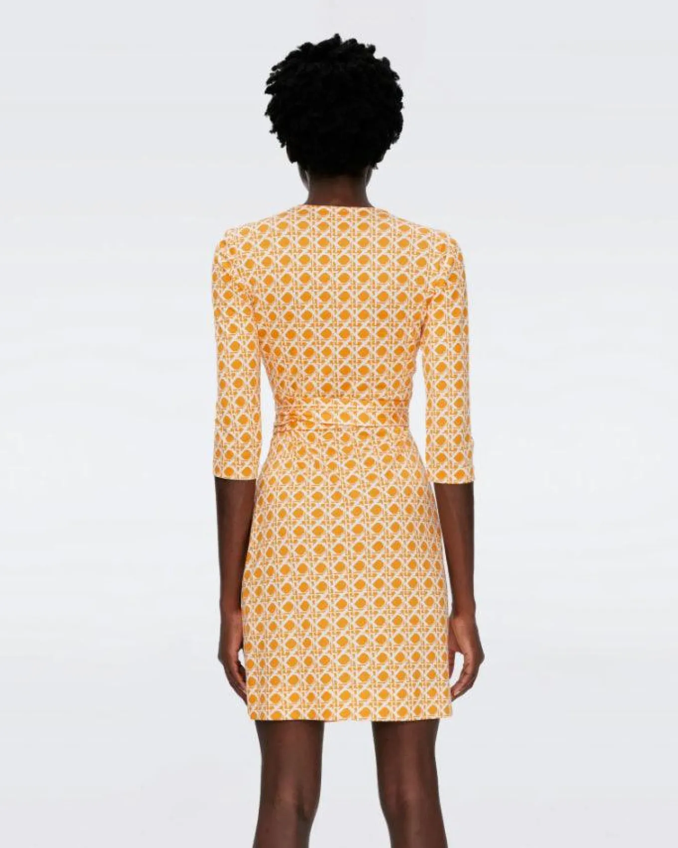 Diane Von Furstenberg Julian Two Dress