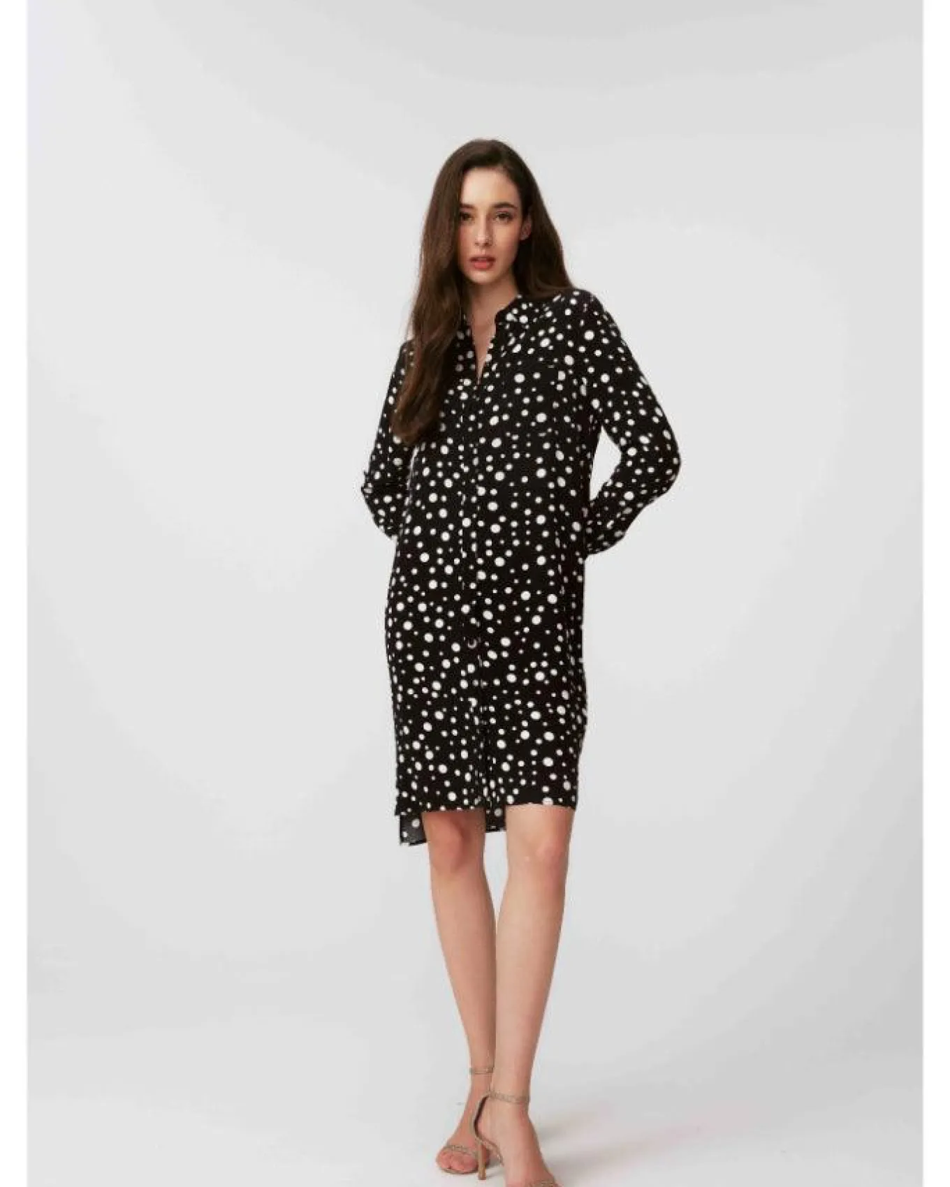 Diane Von Furstenberg Prita Shirt Dress