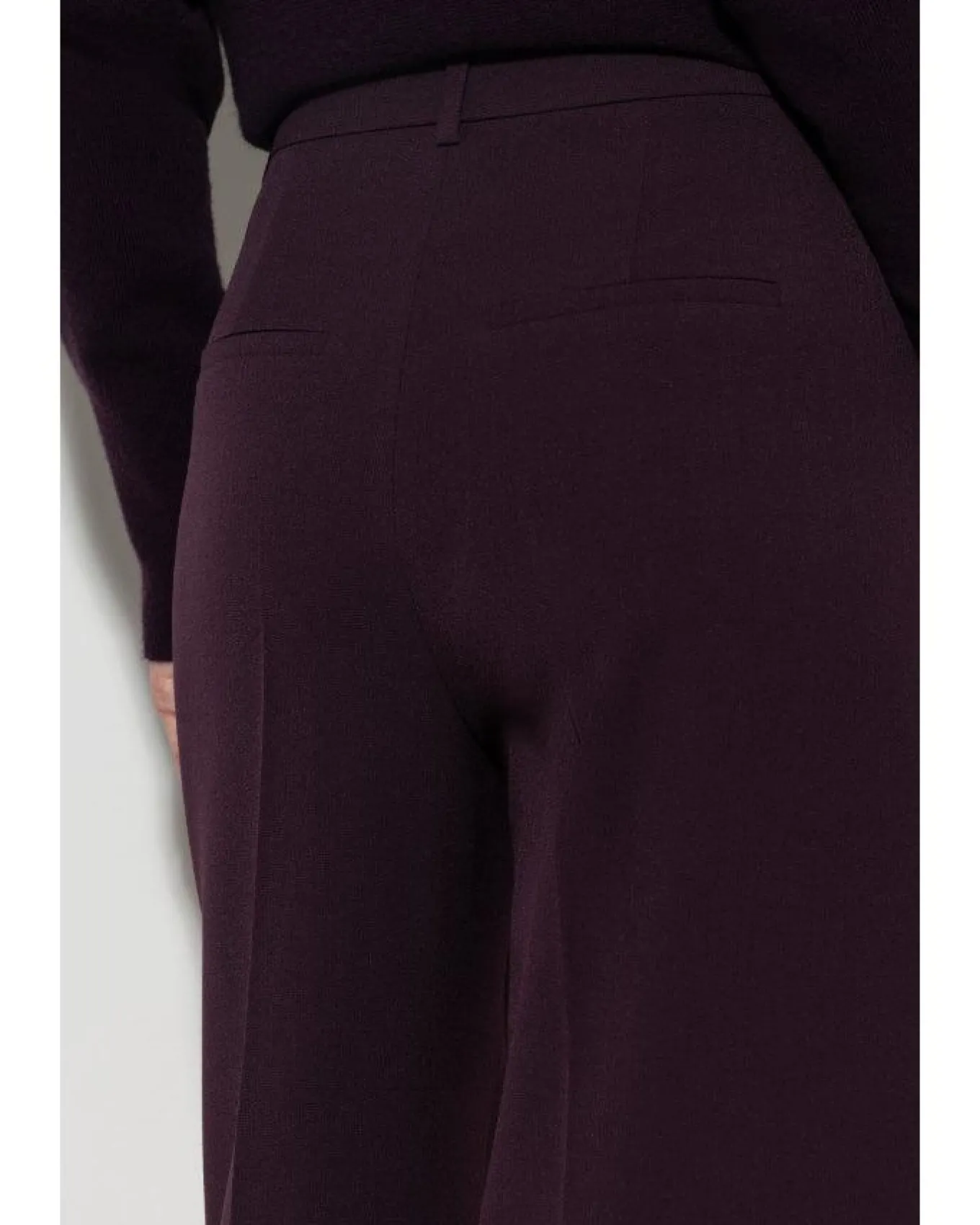 Luisa Cerano Wide Leg Full Length Dress Pants